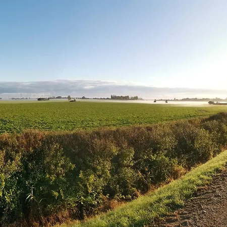 7 Person In Rodby-by Traum Rødby