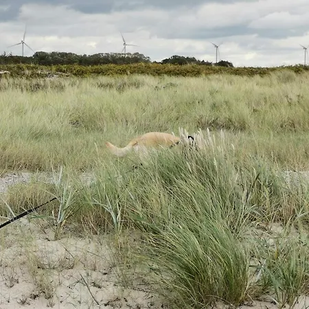 7 Person In Rodby-by Traum 펜션