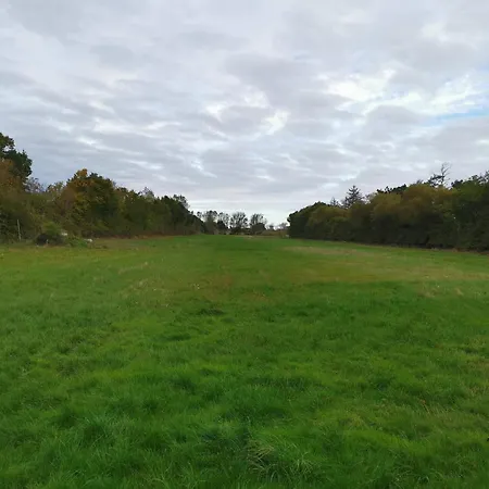 7 Person In Rodby-by Traum * Rødby