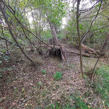 7 Person In Rodby-by Traum 펜션 *