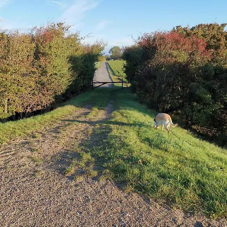 7 Person In Rodby-by Traum 펜션 Rødby