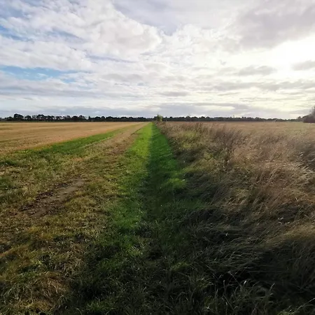 7 Person In Rodby-by Traum *