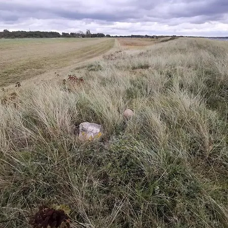 7 Person In Rodby-by Traum