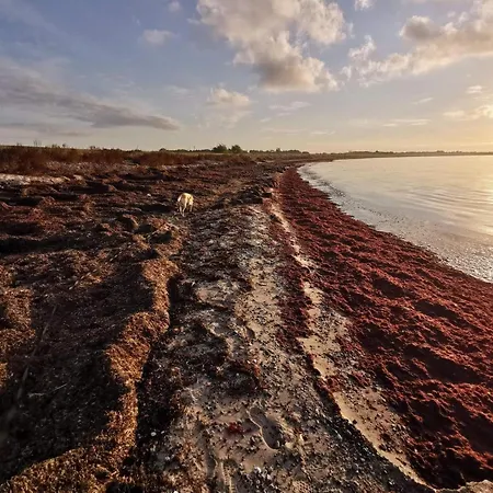 펜션 7 Person In Rodby-by Traum