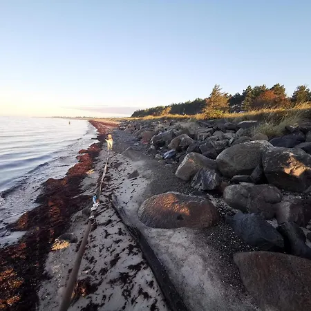 7 Person In Rodby-by Traum *